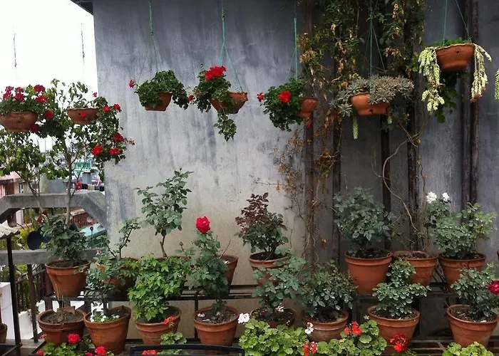 Hotel Excelsior Kathmandu